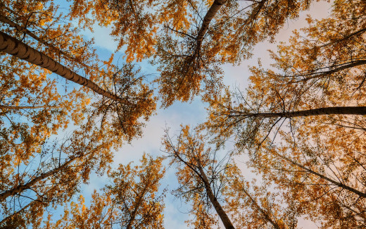 1255272 (a): :2560x1600